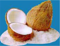 mesin-pemarut-kelapa-maksindo produk maksindoyogya
