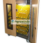 Jual Mesin Penetas Telur Ayam, Bebek dan Unggas di Yogyakarta