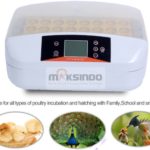 Jual Mesin Penetas Telur 32 Butir (AGR-TT32) di Yogyakarta