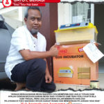 Tetas Telur Pak Gatot : Usaha Ternak Kami Semakin Mudah dengan Tetas Telur Maksindo